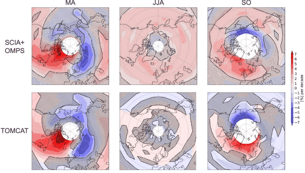 Arctic ozone trends