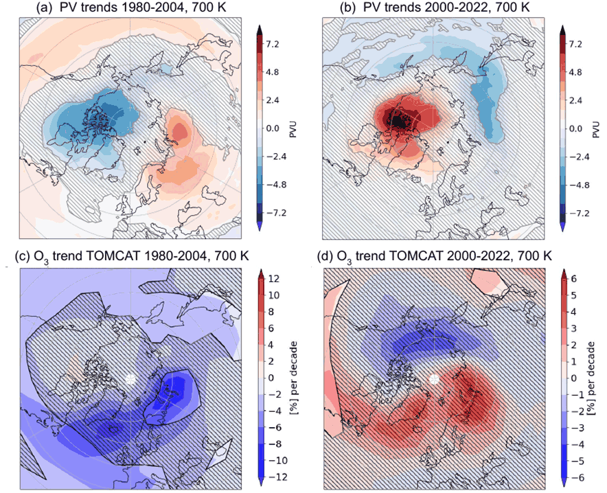Arctic ozone trends and polar vortex