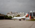 Falcon on airfield