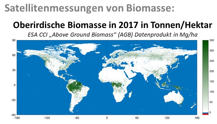 ECV Biomass.