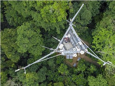  Fiston Wasanga HQ/CongoFlux